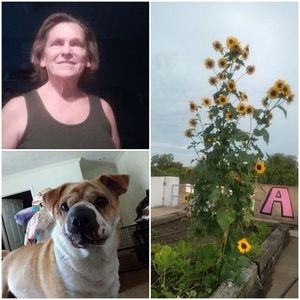 Meet your Posher, Cathy